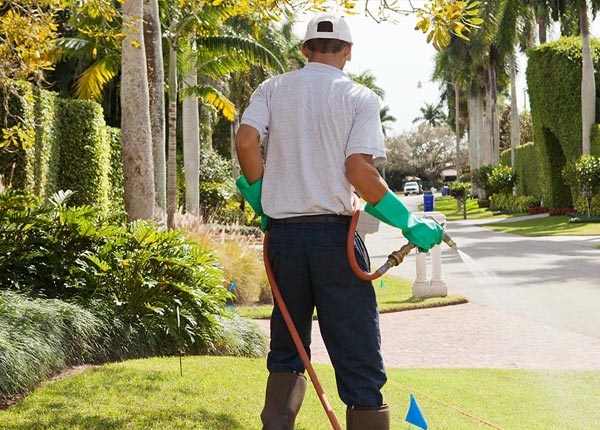 About Robinson KS Pest Control
